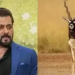 सलमान खान